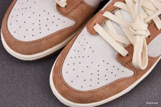 Curry Low Medium Dunk DD1390-100 Nike 0304